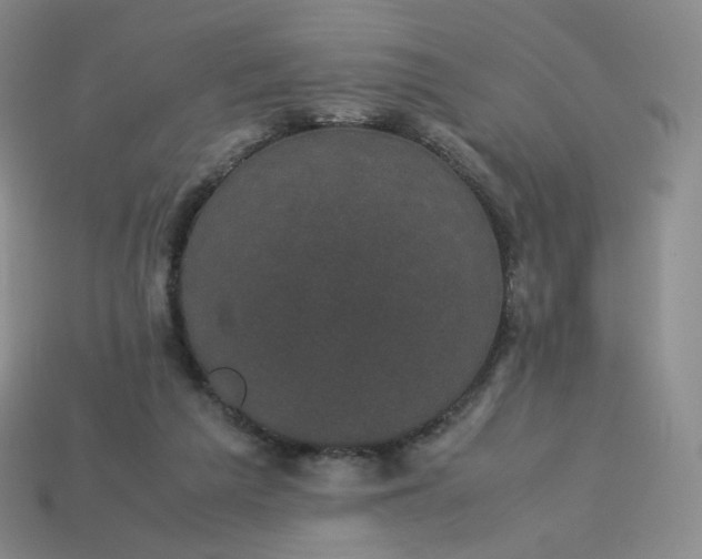 X0000114090209200910191610