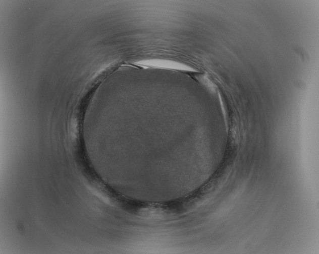 X0000114090211200910191610