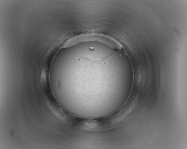X0000114090214200910191610