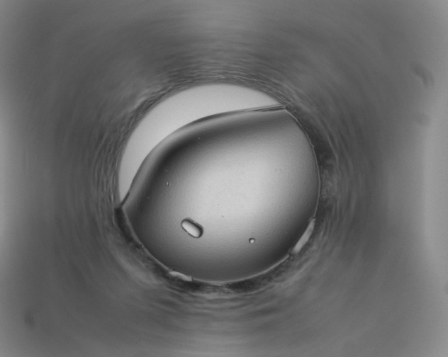 X0000114090215200910191610