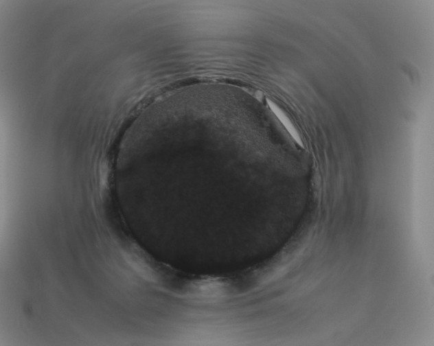 X0000114090219200910191610