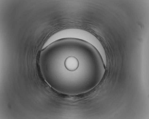 X0000114090221200910191610