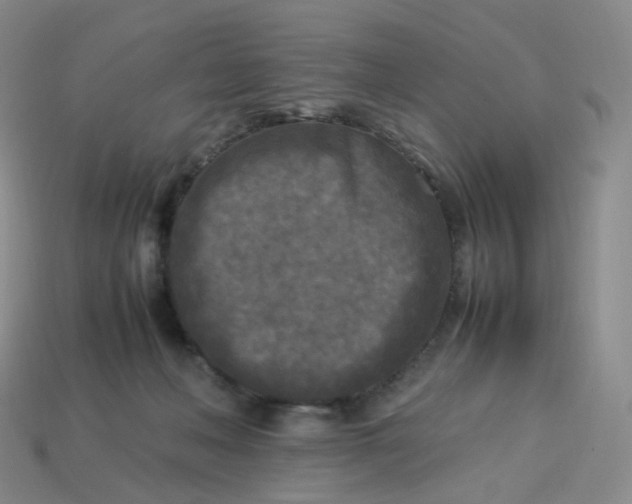 X0000114090222200910191610