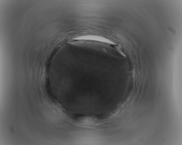X0000114090223200910191610