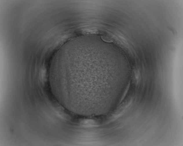 X0000114090224200910191610