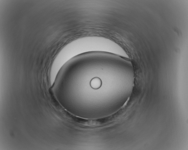 X0000114090225200910191610