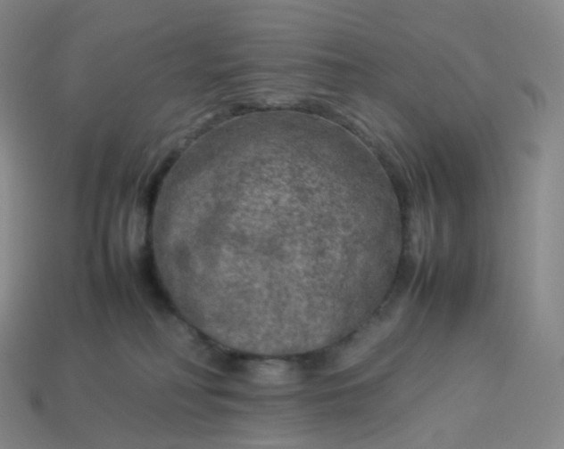 X0000114090230200910191610