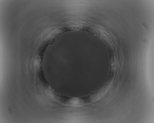 X0000114090231200910191610