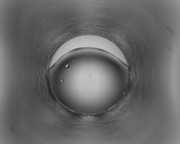 X0000114090233200910191610