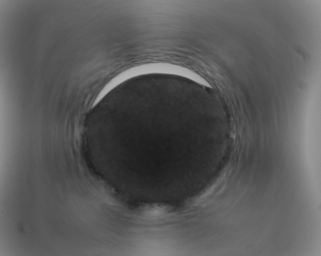 X0000114090235200910191610