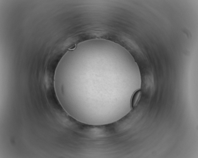 X0000114090236200910191610