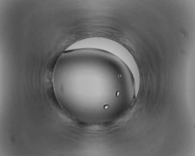 X0000114090237200910191610