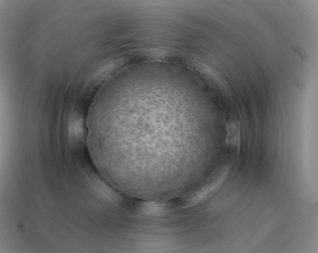 X0000114090238200910191610