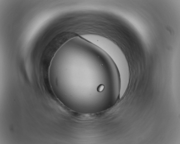 X0000114090239200910191610