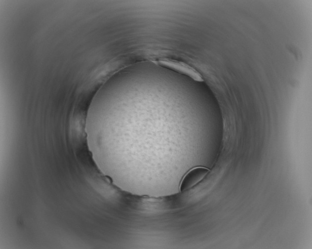 X0000114090240200910191610