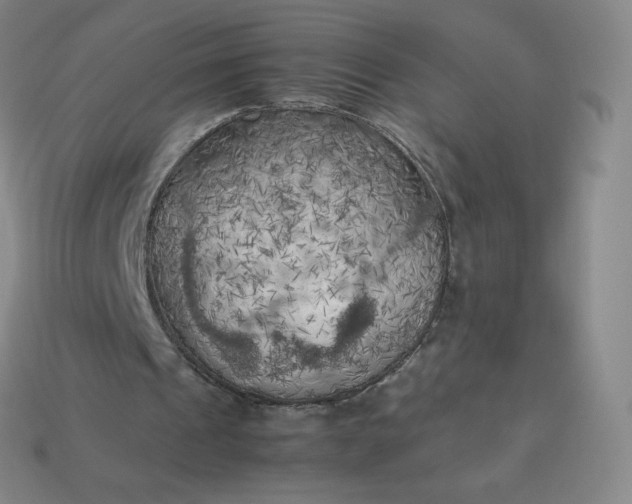 X0000114090241200910191609