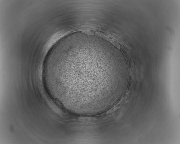 X0000114090242200910191609