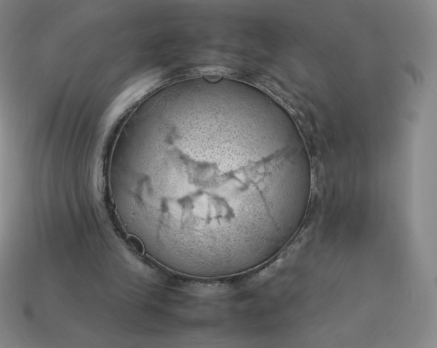 X0000114090245200910191609