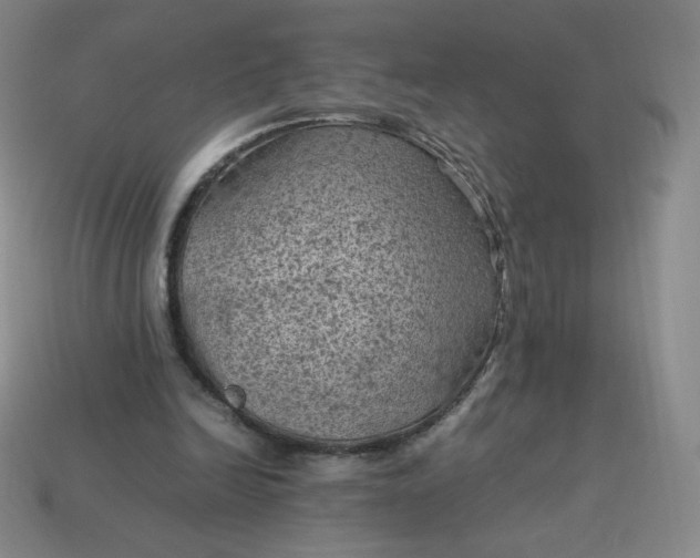 X0000114090246200910191609