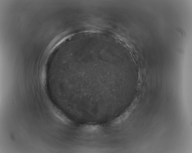 X0000114090247200910191609