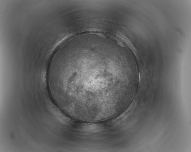 X0000114090249200910191609