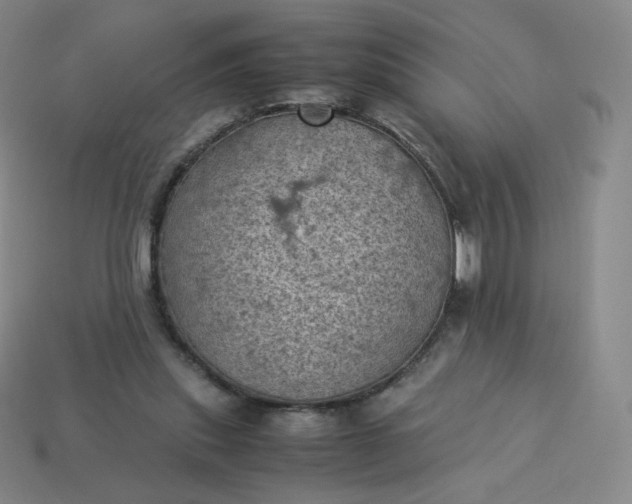 X0000114090253200910191609