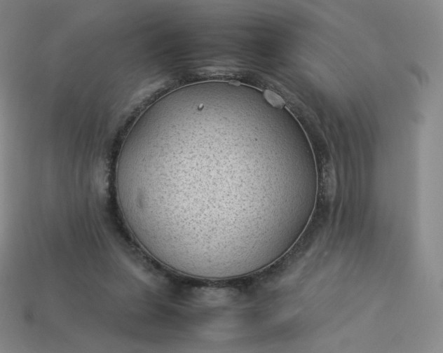 X0000114090255200910191609