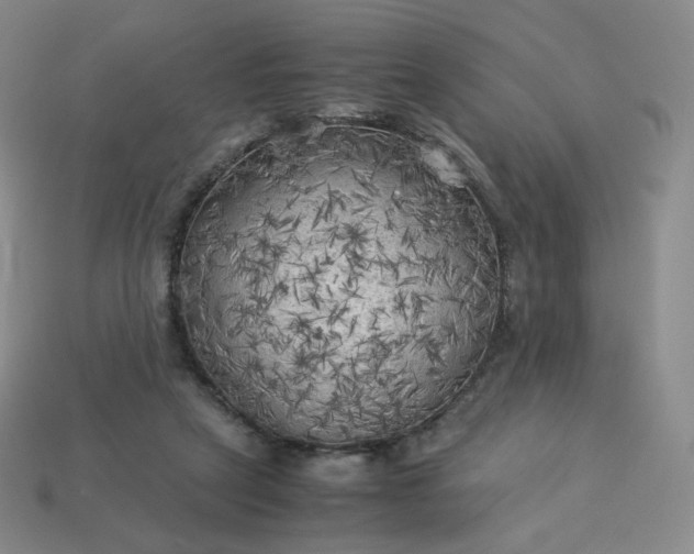X0000114090257200910191609
