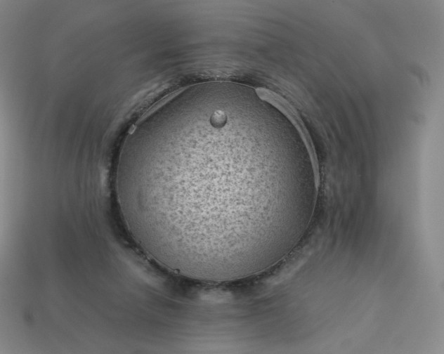 X0000114090258200910191609