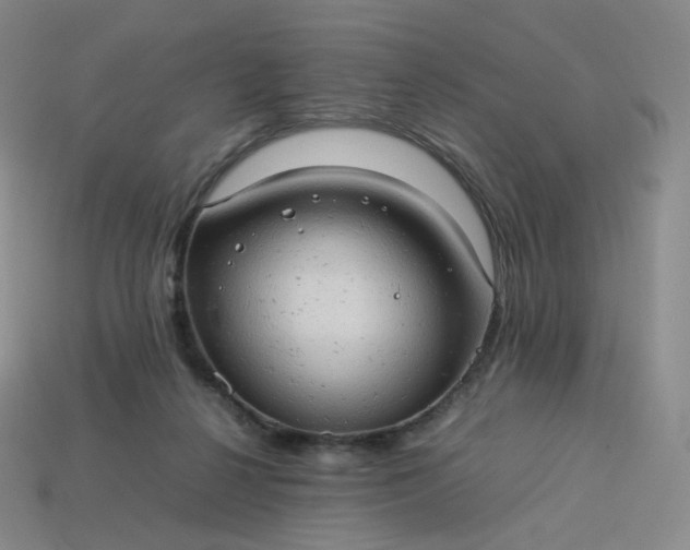 X0000114090264200910191609