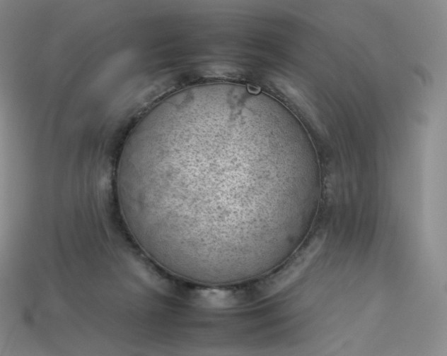 X0000114090265200910191609