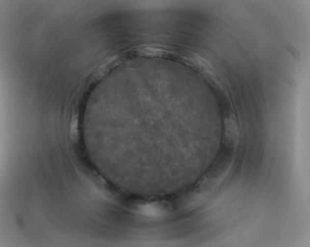 X0000114090267200910191609