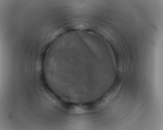 X0000114090268200910191609