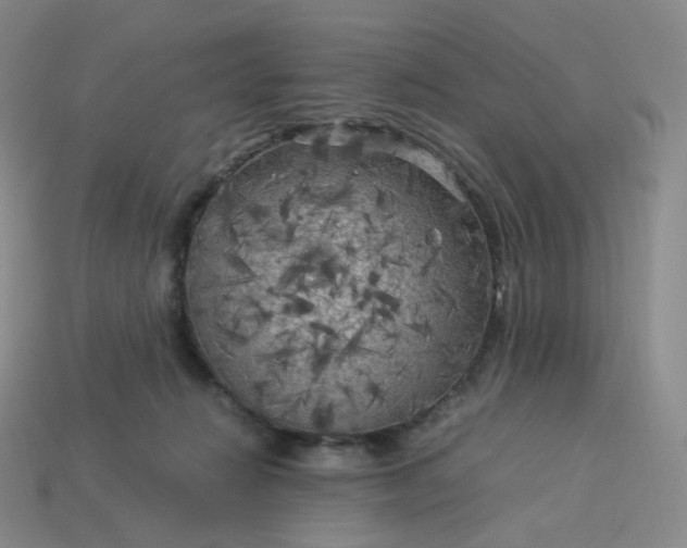 X0000114090270200910191609