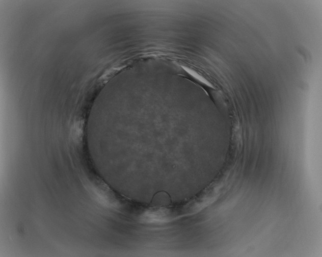 X0000114090271200910191609