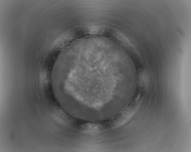 X0000114090272200910191609