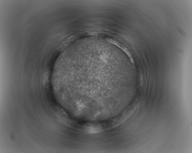 X0000114090275200910191609