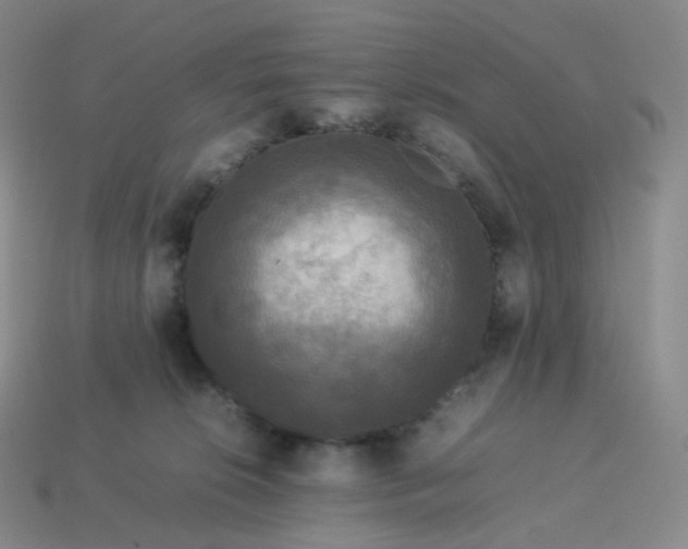 X0000114090276200910191609