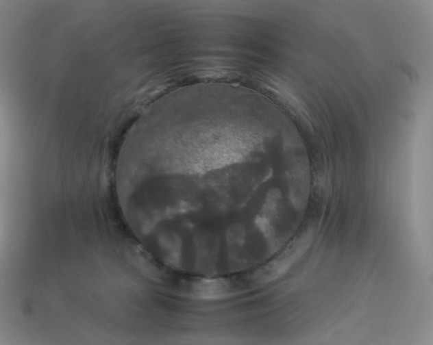 X0000114090277200910191609