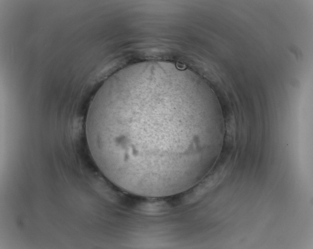 X0000114090278200910191609