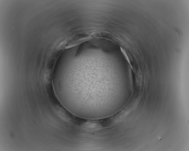X0000114090280200910191609