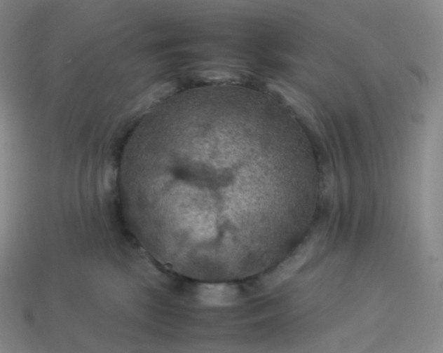 X0000114090281200910191609