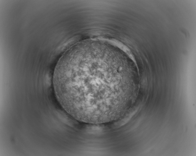X0000114090282200910191609