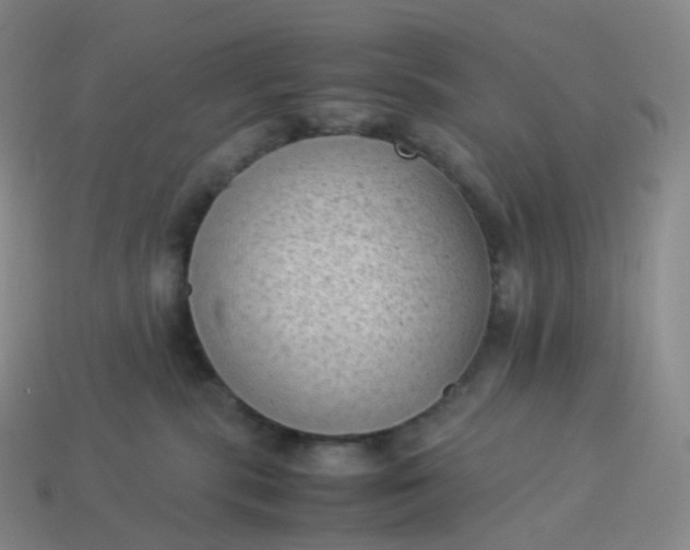 X0000114090283200910191610