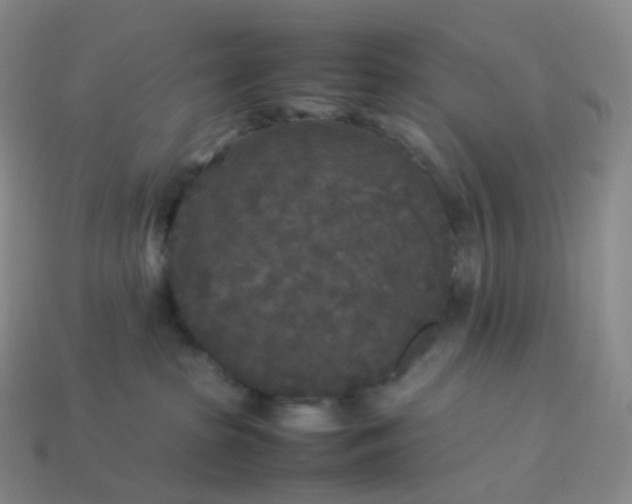 X0000114090285200910191610