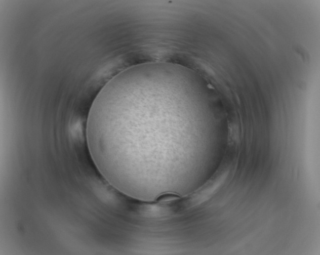X0000114090286200910191610