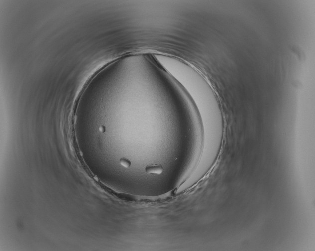 X0000114090289200910191609