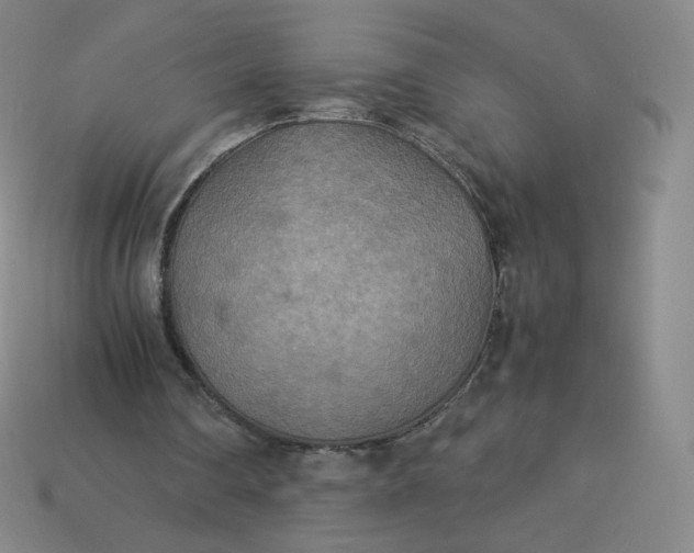 X0000114090290200910191609