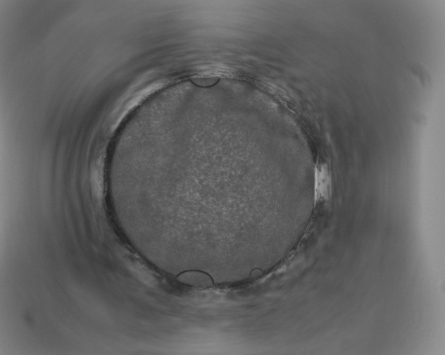X0000114090291200910191609