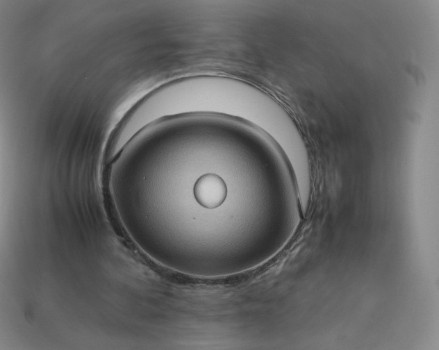 X0000114090292200910191609